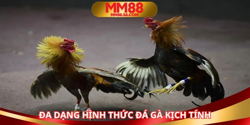 Đa dạng các hình thức giao tranh kịch tính